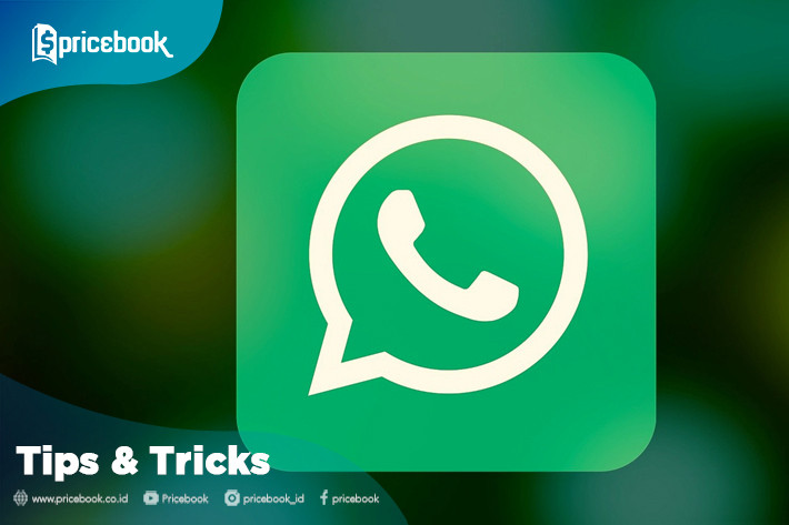 5 Ways to Make GIFs on WhatsApp Without an Application |   Droidcops